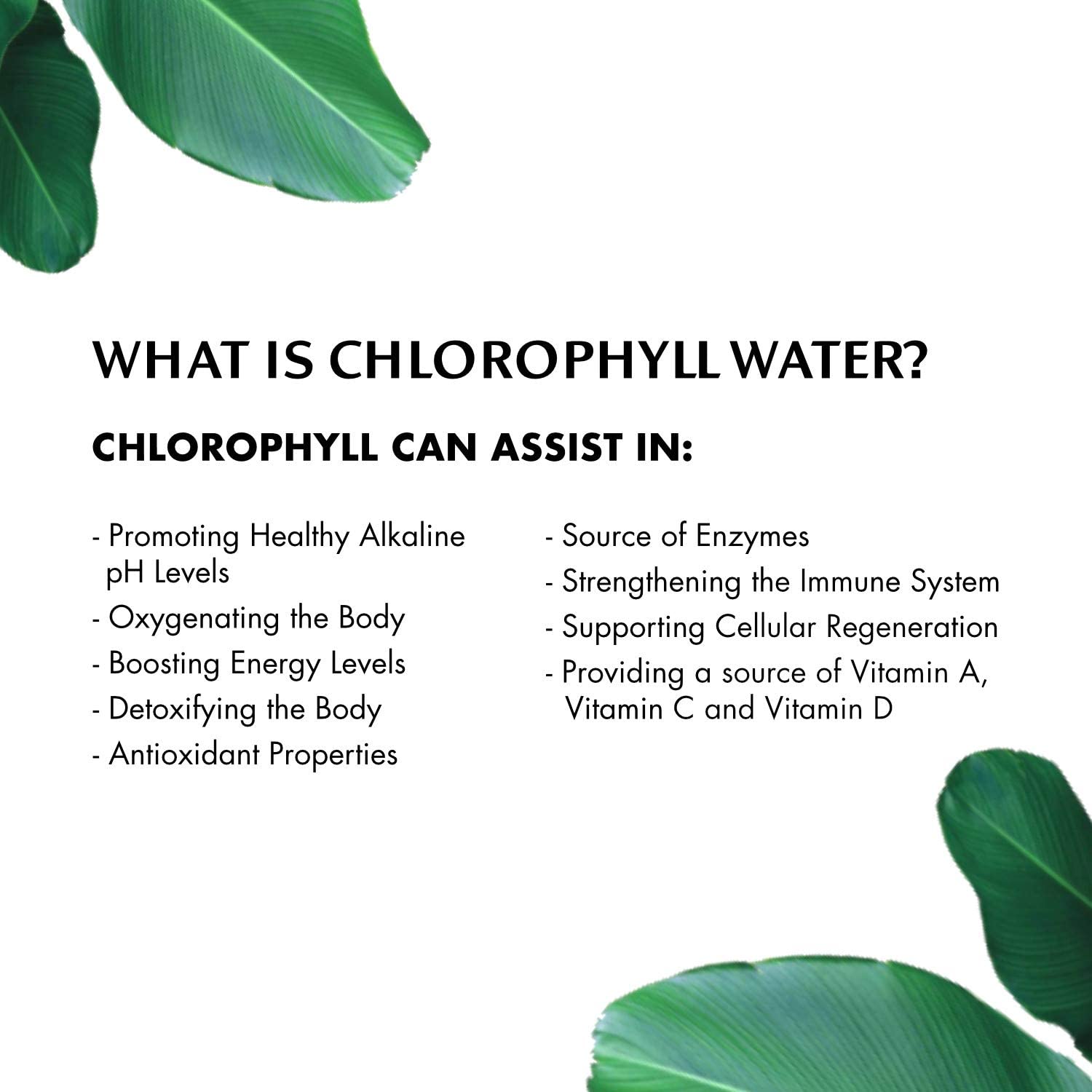 Chlorophyll Water® (2 Cases/24 Bottles) Purified Mountain Spring Water with Essential Vitamins