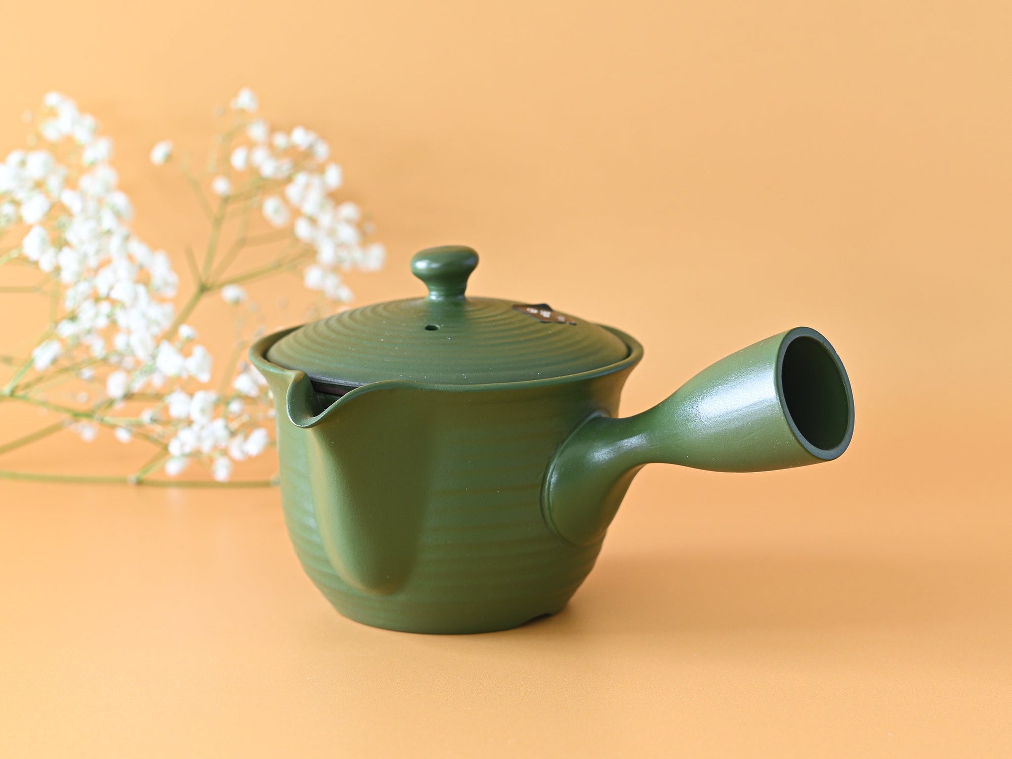 Handcrafted Japanese Kyusu Teapot with Filters (380ml) by Aprika Life