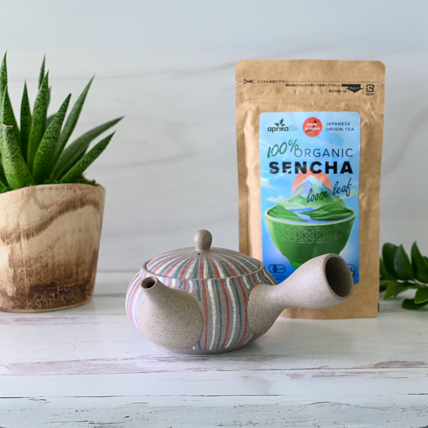Handcrafted Japanese Kyusu Teapot with Filters (310ml) by Aprika Life