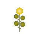 Rhodiola
