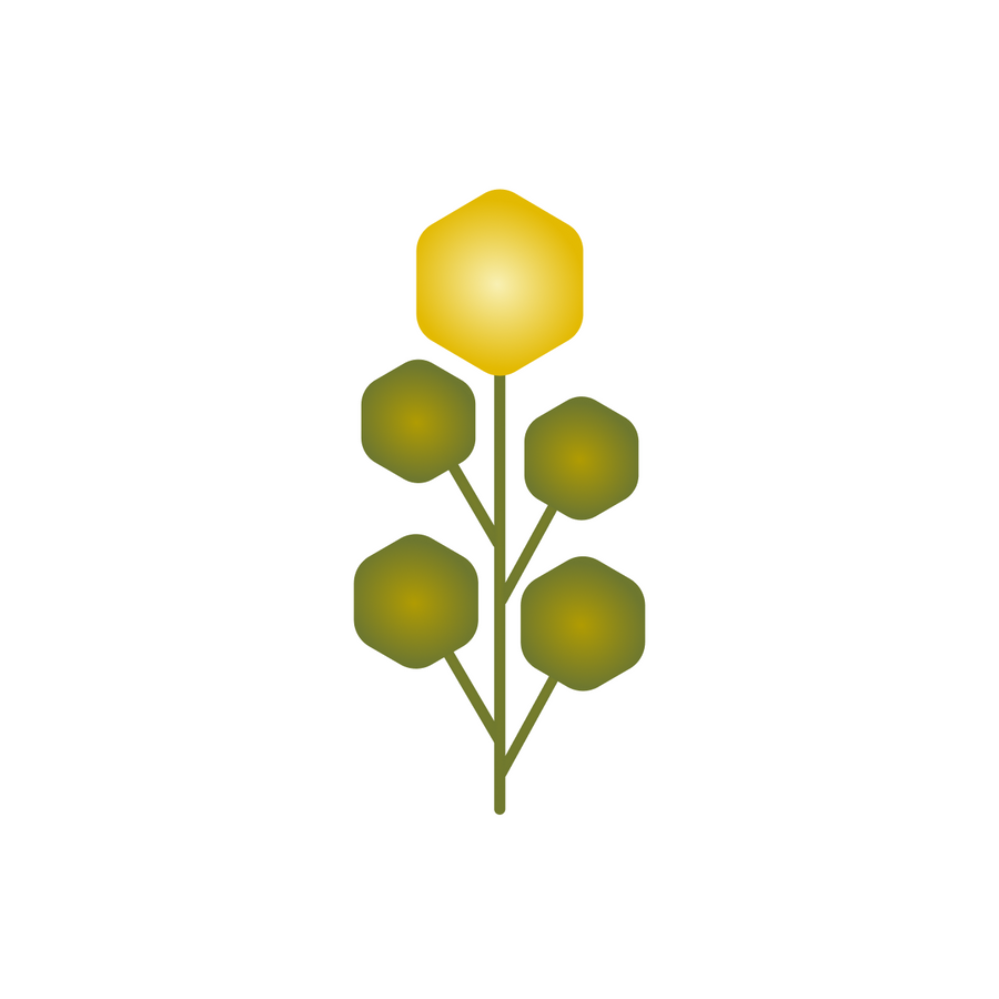 Rhodiola