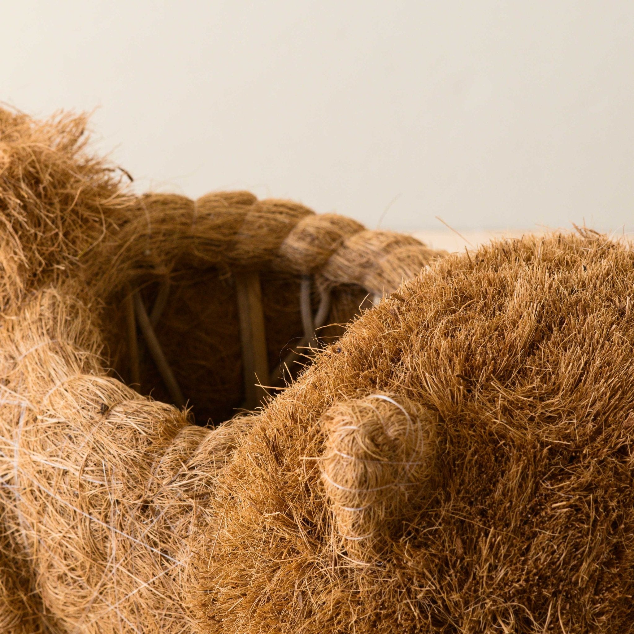Chow Chow Planter - Dog Plant Pot | LIKHÂ