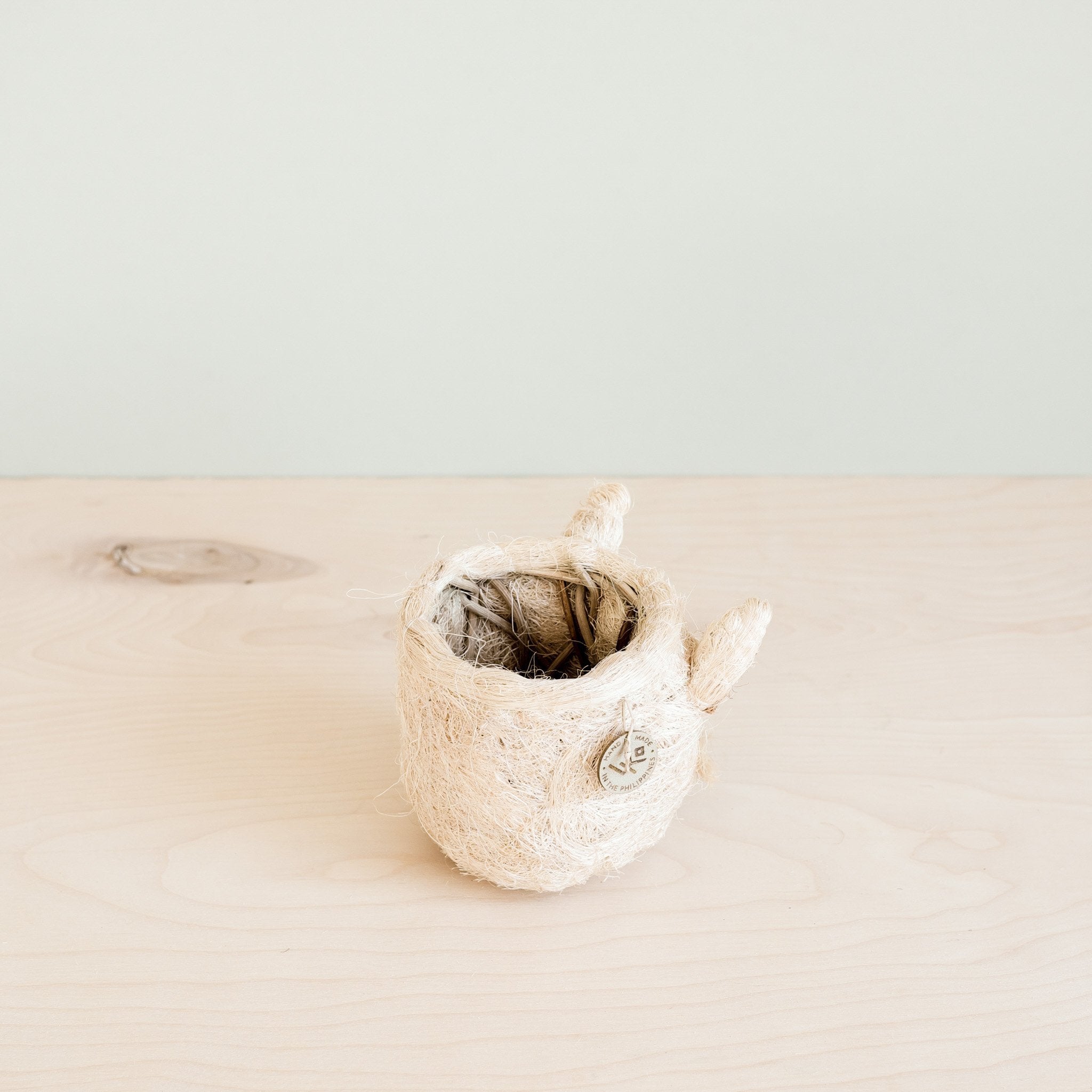 Cat Succulent Planter - Animal Head Planters | LIKHÂ by LIKHÂ